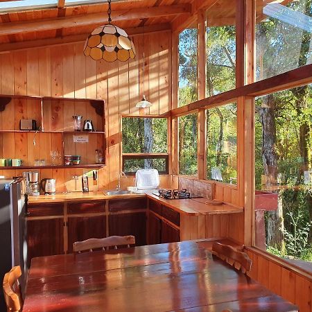 Finca Terra Viva Monteverde Dış mekan fotoğraf