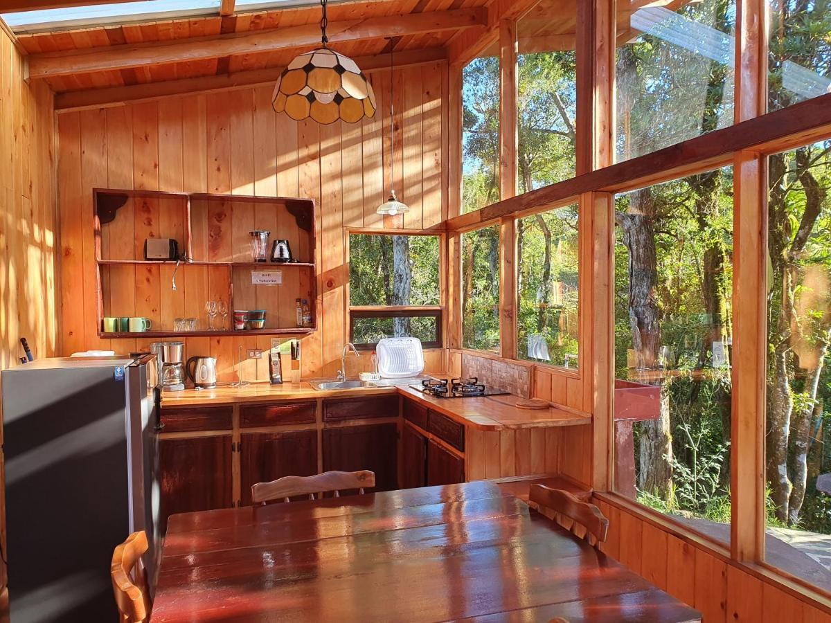 Finca Terra Viva Monteverde Dış mekan fotoğraf