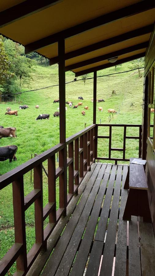 Finca Terra Viva Villa Monteverde Dış mekan fotoğraf