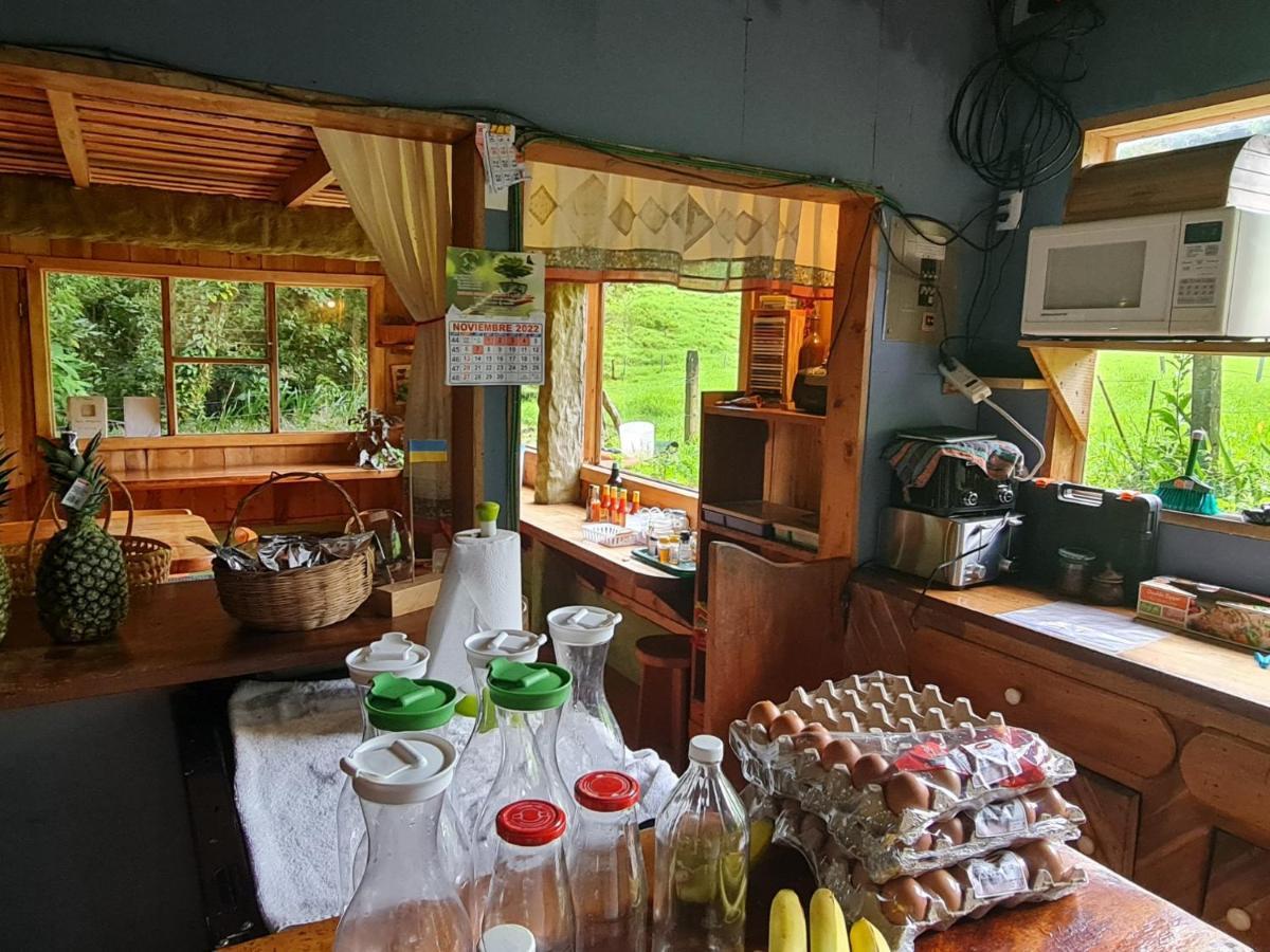 Finca Terra Viva Monteverde Dış mekan fotoğraf