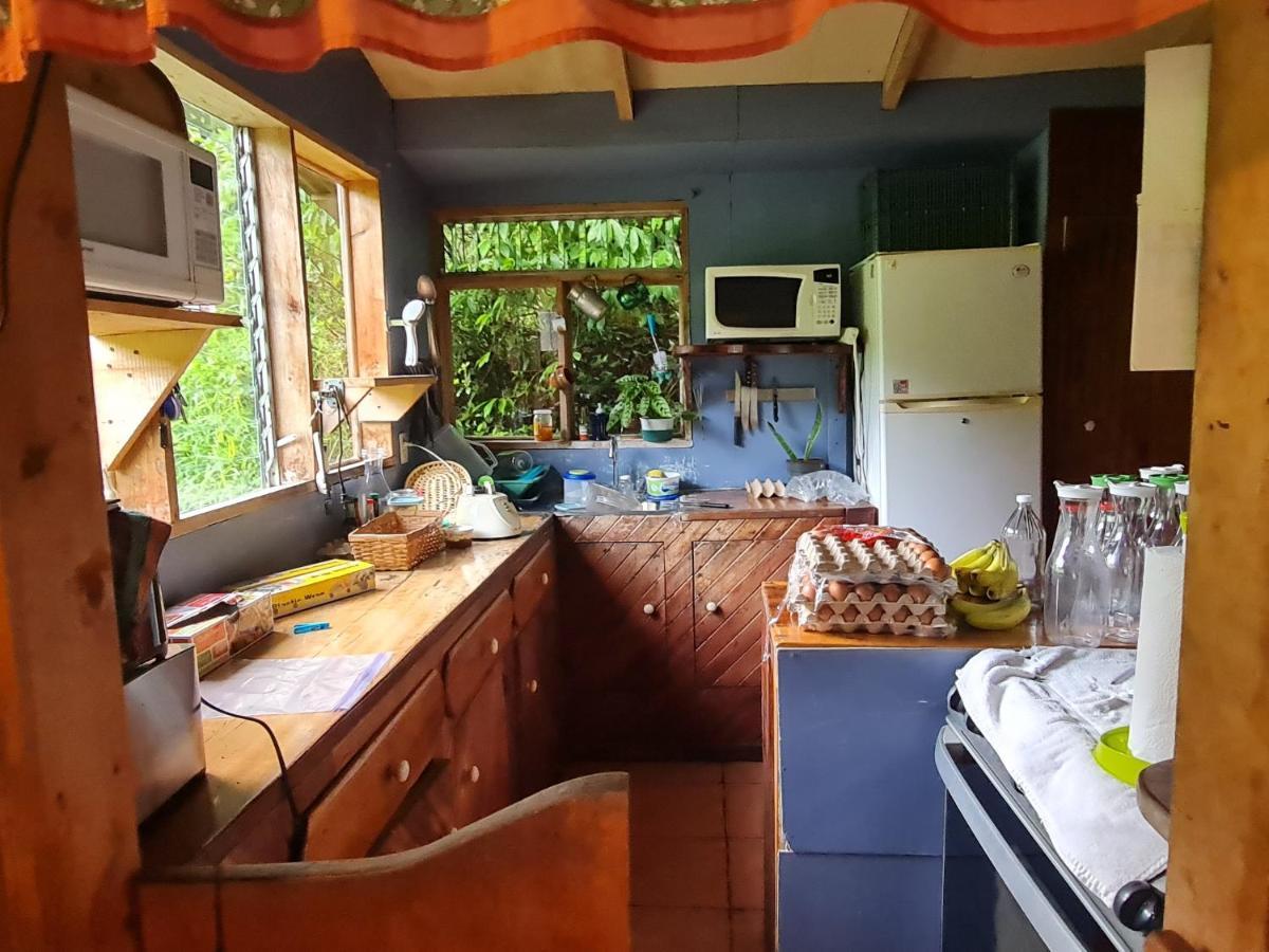 Finca Terra Viva Monteverde Dış mekan fotoğraf