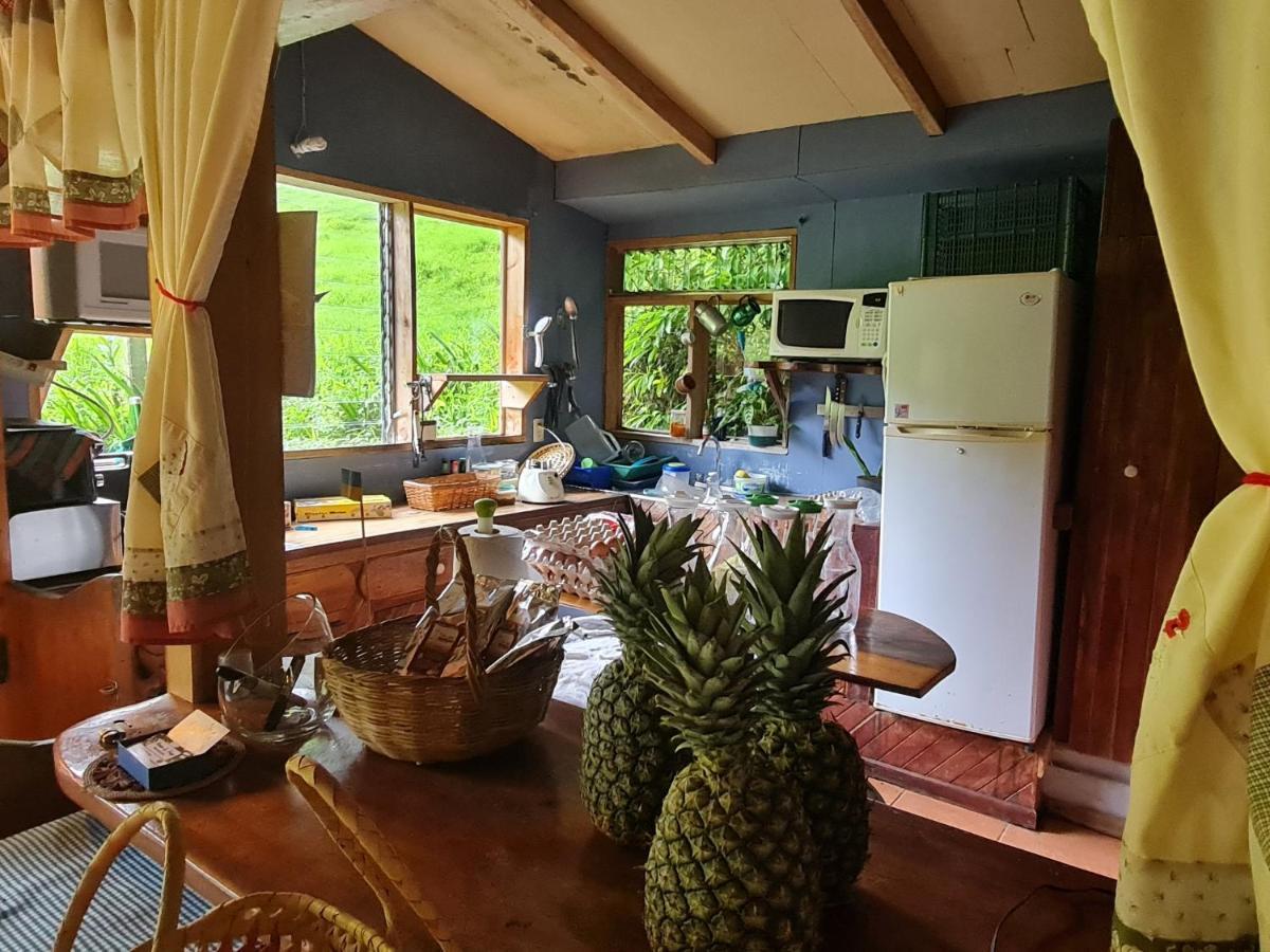 Finca Terra Viva Monteverde Dış mekan fotoğraf