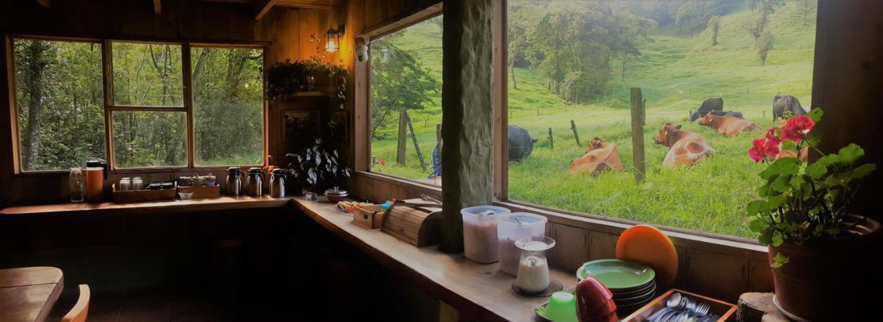 Finca Terra Viva Monteverde Dış mekan fotoğraf