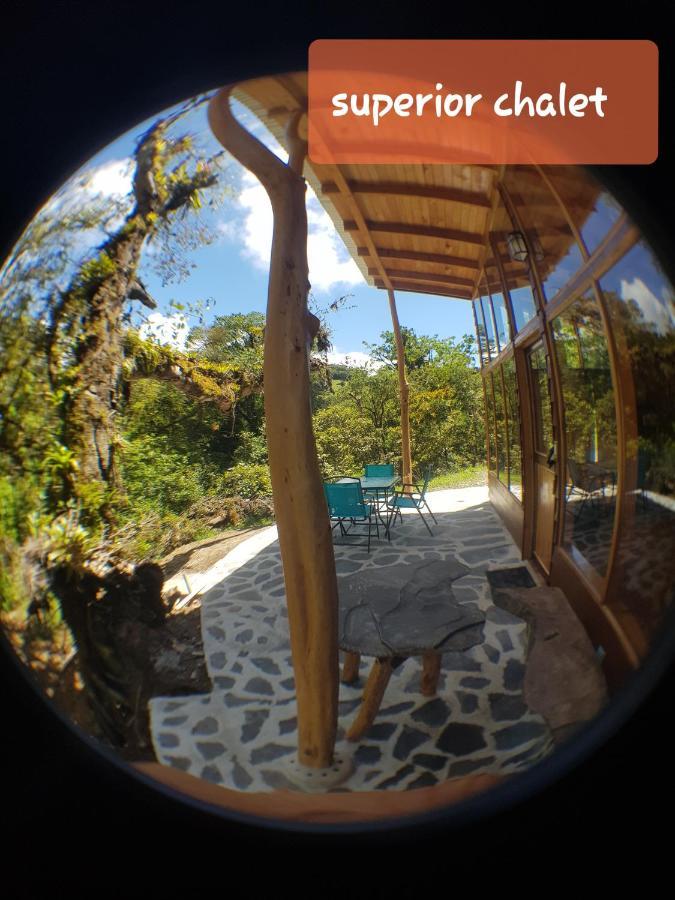 Finca Terra Viva Monteverde Dış mekan fotoğraf