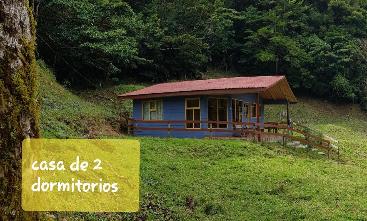 Finca Terra Viva Monteverde Dış mekan fotoğraf