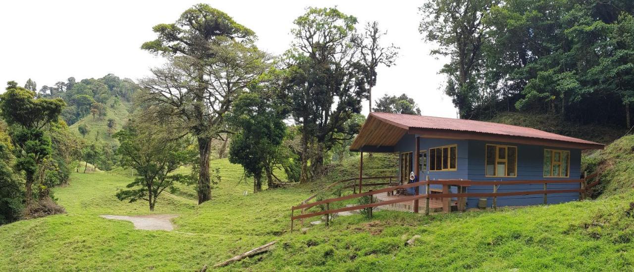 Finca Terra Viva Monteverde Dış mekan fotoğraf